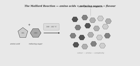 The Maillard Reaction — amino acids and reducing sugars — science illustration