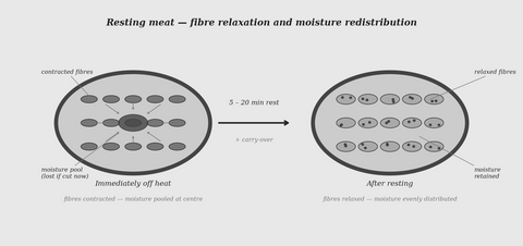 Resting meat — muscle fibre relaxation and juice redistribution — science illustration