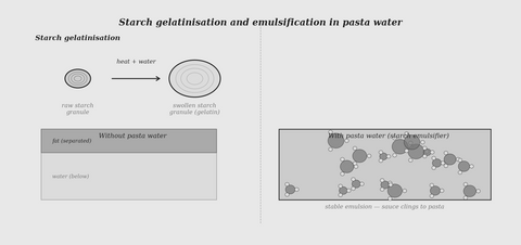 Starch gelatinisation and emulsification — pasta water science illustration
